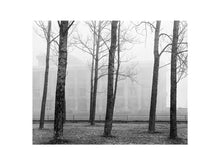 Charger l'image dans la galerie, BASIC SIGNATURE #172