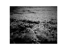 Charger l'image dans la galerie, BASIC SIGNATURE #191