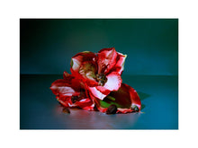 Charger l'image dans la galerie, BASIC SIGNATURE #196