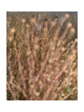 Charger l'image dans la galerie, BASIC SIGNATURE #160