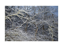 Charger l'image dans la galerie, BASIC SIGNATURE #167