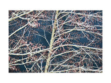 Charger l'image dans la galerie, BASIC SIGNATURE #169