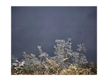 Charger l'image dans la galerie, BASIC SIGNATURE #154