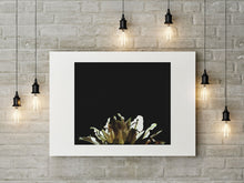 Charger l'image dans la galerie, BASIC SIGNATURE #188