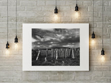 Charger l'image dans la galerie, BASIC SIGNATURE #178