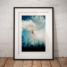 Charger l'image dans la galerie, BASIC SIGNATURE #183