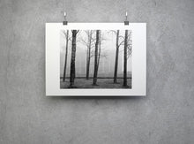 Charger l'image dans la galerie, BASIC SIGNATURE #172