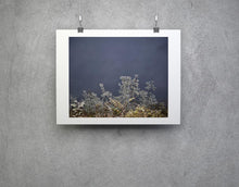 Charger l'image dans la galerie, BASIC SIGNATURE #154