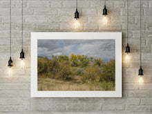 Charger l'image dans la galerie, BASIC SIGNATURE #170