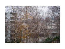 Laden Sie das Bild in den Galerie-Viewer, BASIC SIGNATURE #117
