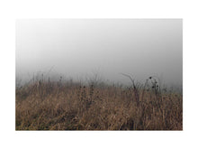 Carica l&#39;immagine nel visualizzatore di Gallery, BASIC SIGNATURE #133

