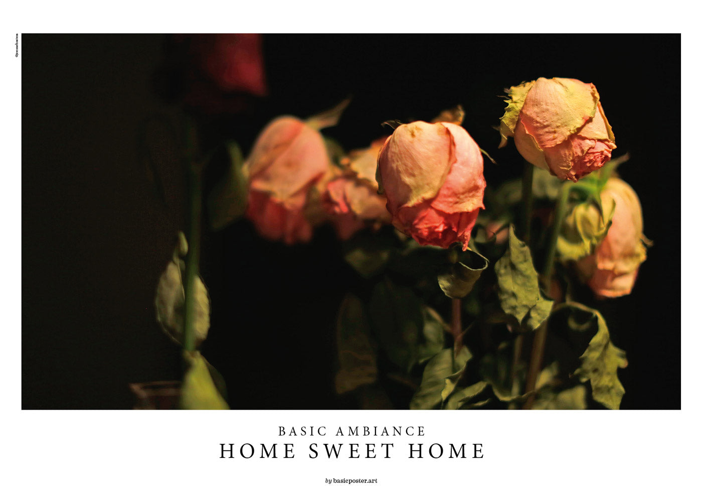 BASIC AMBIANCE - HOME SWEET HOME