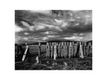 Charger l&#39;image dans la galerie, BASIC SIGNATURE #178
