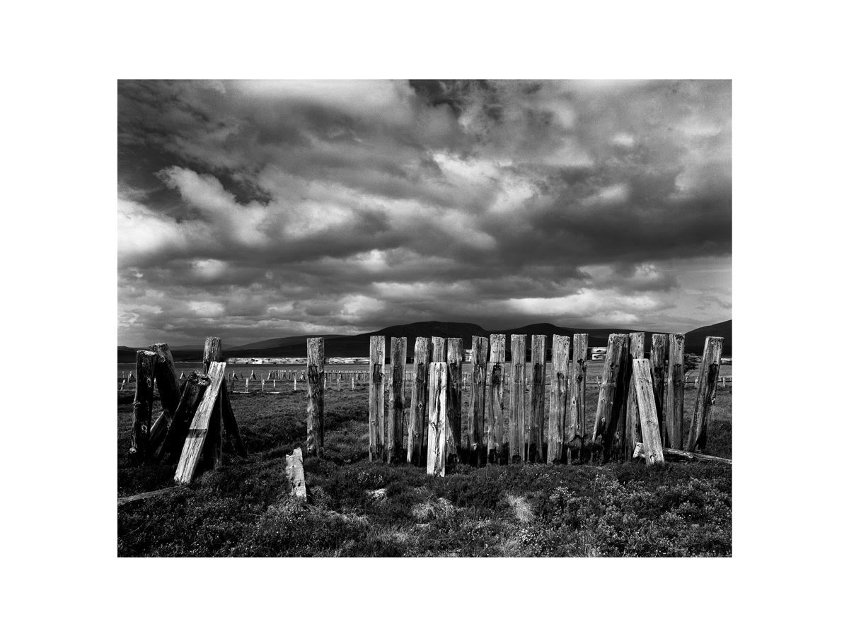 BASIC SIGNATURE #178