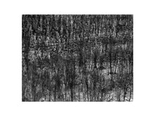 Charger l&#39;image dans la galerie, BASIC SIGNATURE #173
