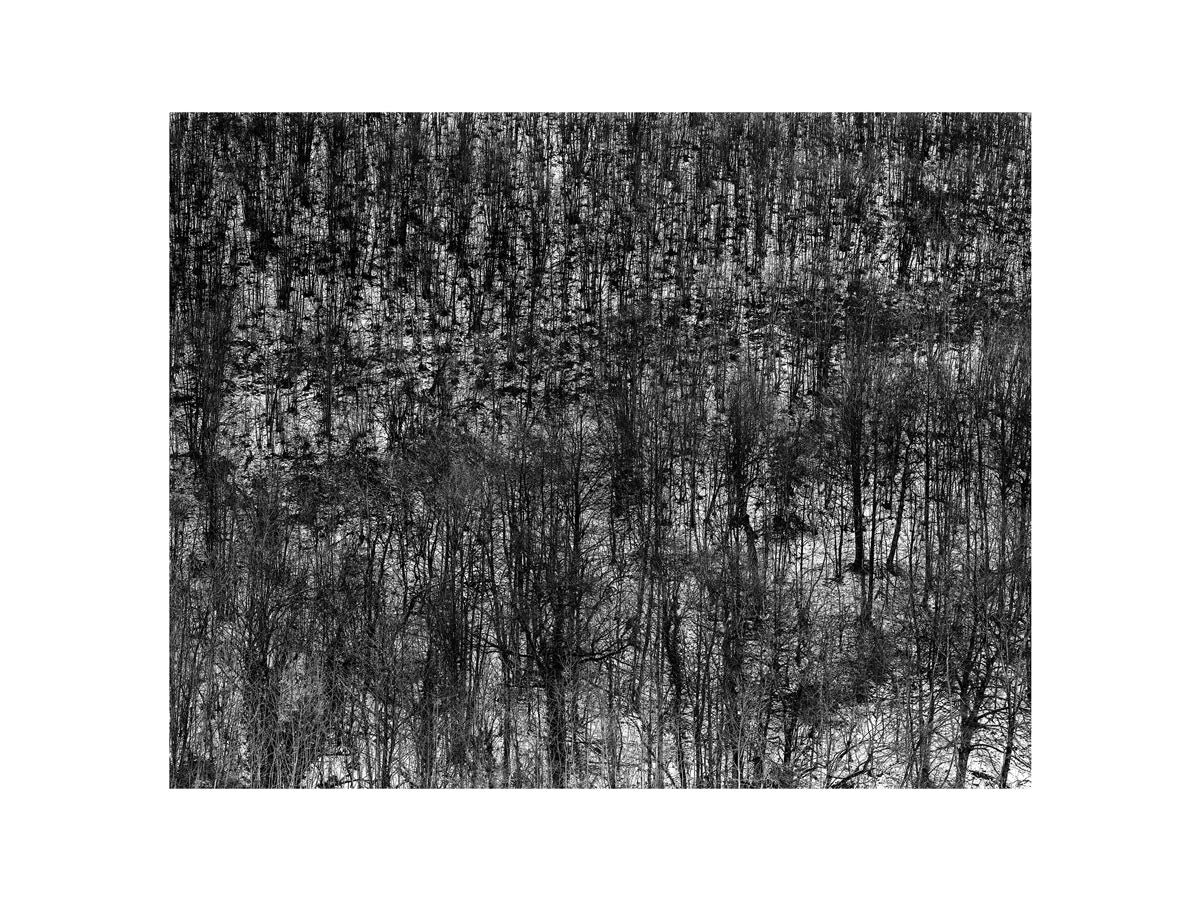 BASIC SIGNATURE #173