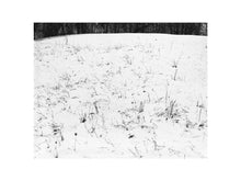 Charger l&#39;image dans la galerie, BASIC SIGNATURE #177
