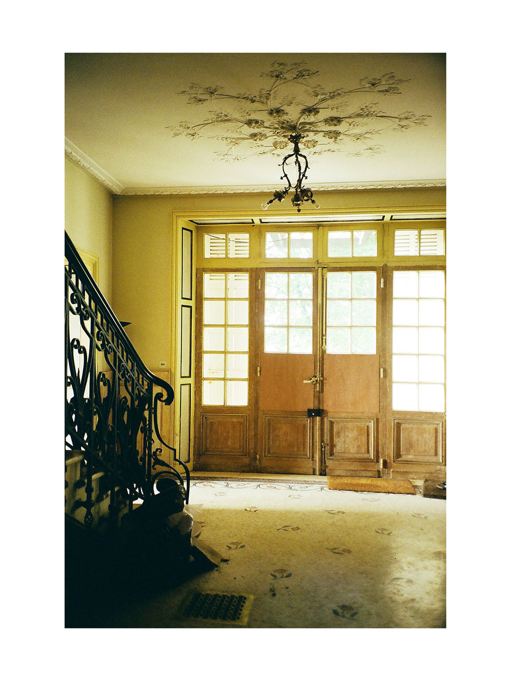 BASIC SIGNATURE #182