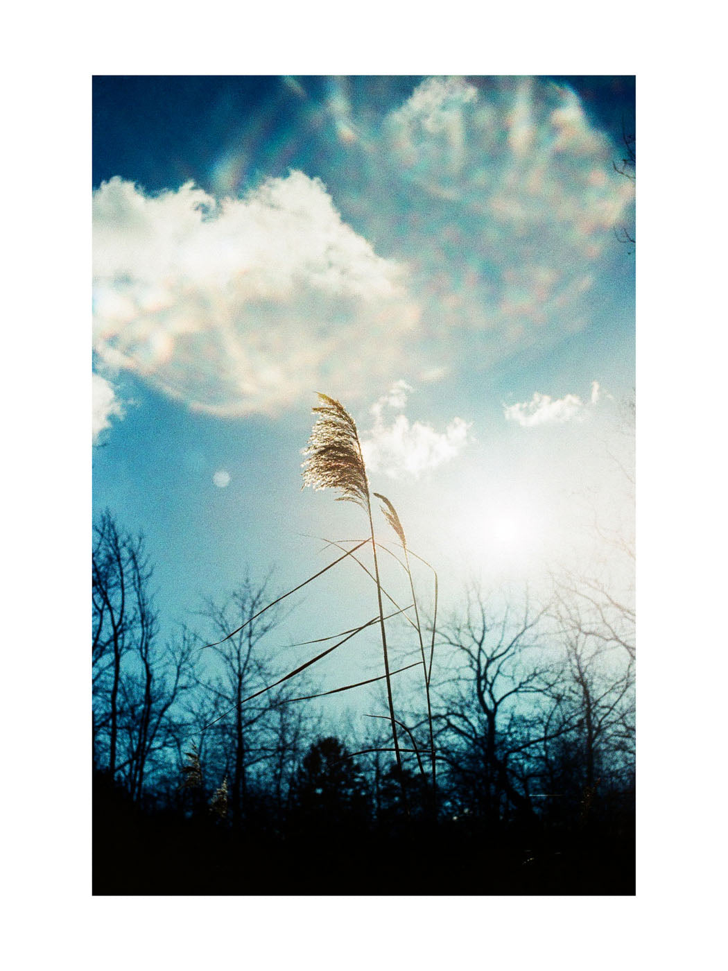 BASIC SIGNATURE #183