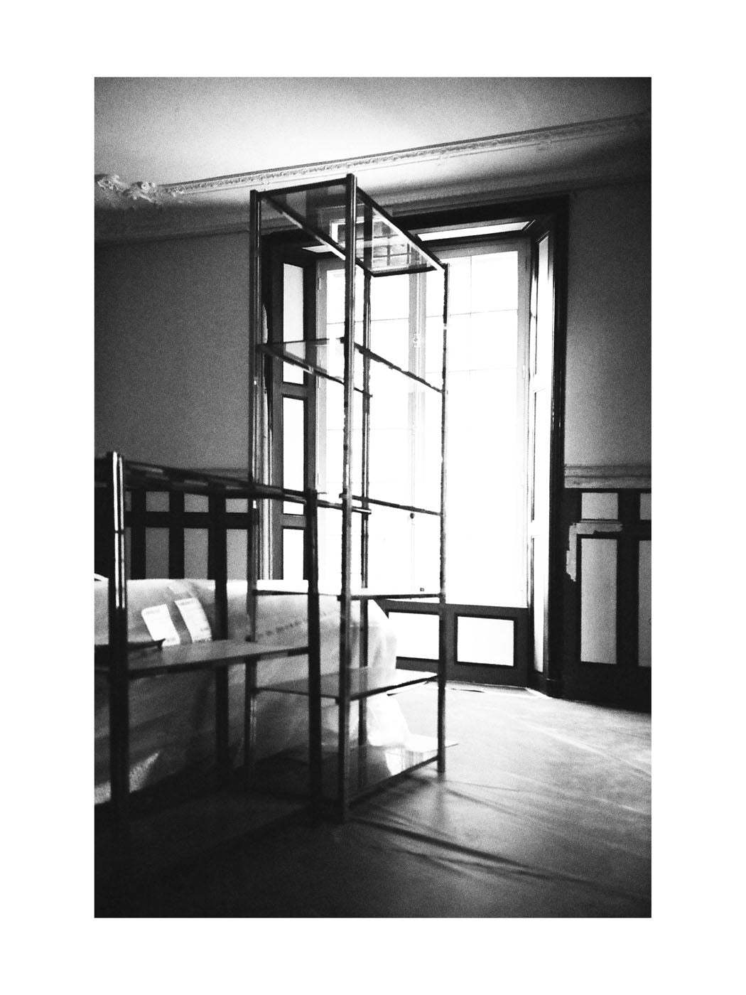 BASIC SIGNATURE #184