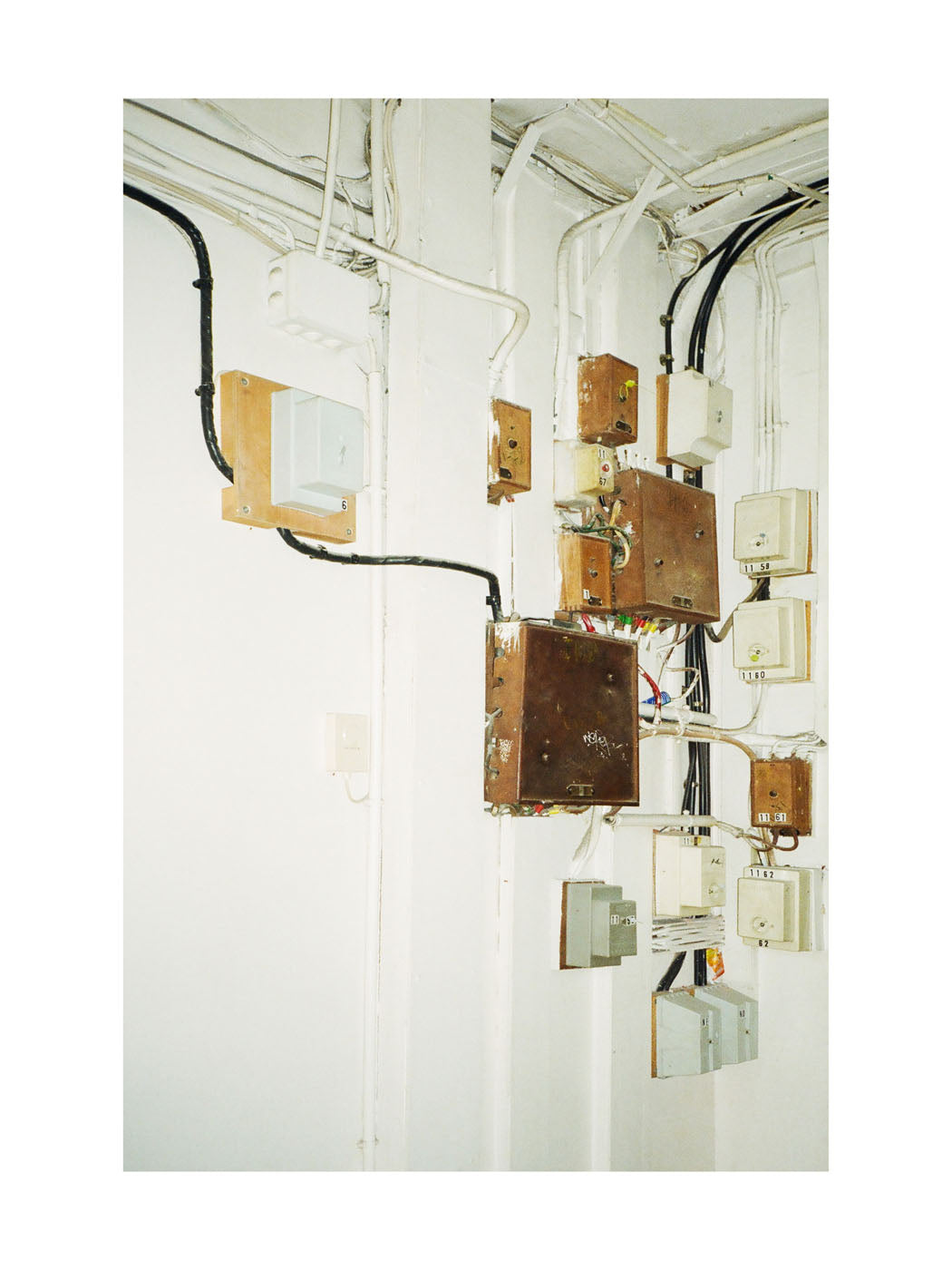 BASIC SIGNATURE #186