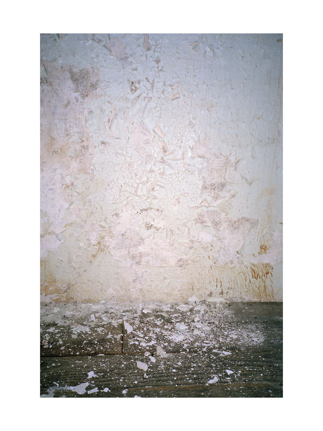 BASIC SIGNATURE #181