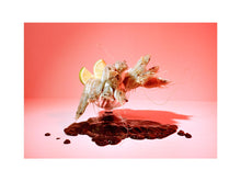 Charger l&#39;image dans la galerie, BASIC SIGNATURE #197
