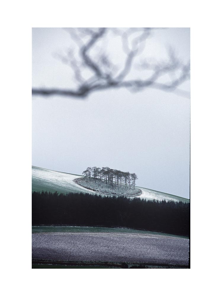 BASIC SIGNATURE #164