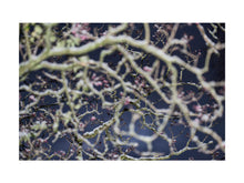 Charger l&#39;image dans la galerie, BASIC SIGNATURE #168
