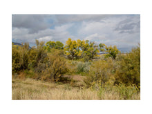 Charger l&#39;image dans la galerie, BASIC SIGNATURE #170
