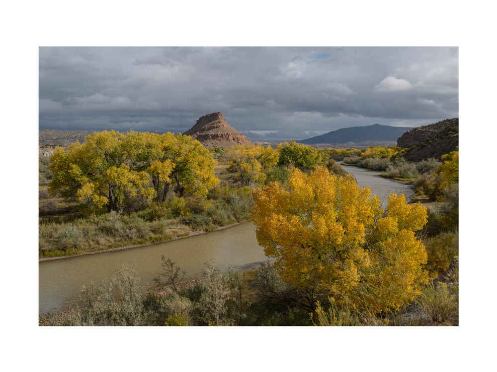 BASIC SIGNATURE #171