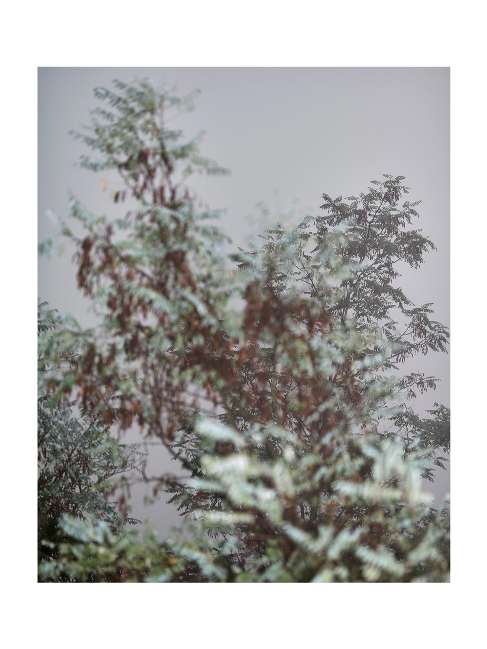 BASIC SIGNATURE #157