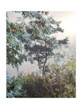 Charger l&#39;image dans la galerie, BASIC SIGNATURE #158
