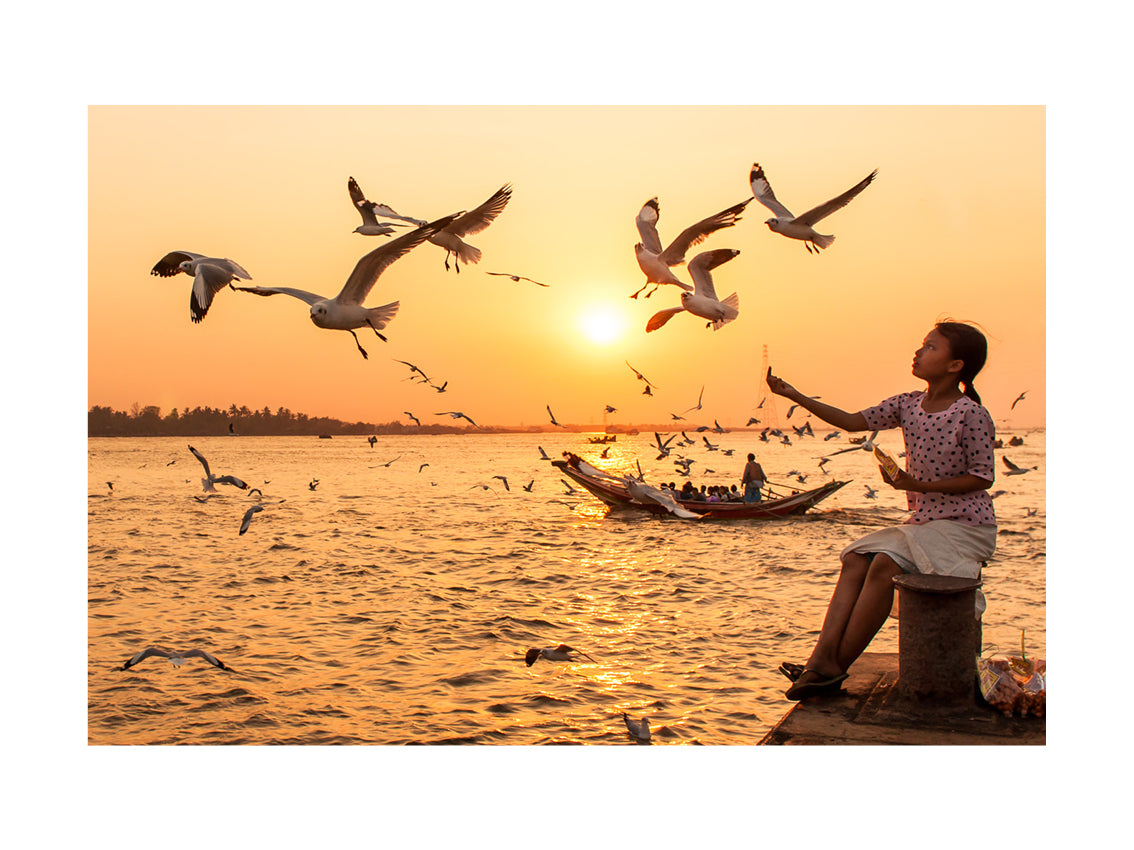 BASIC SIGNATURE #222