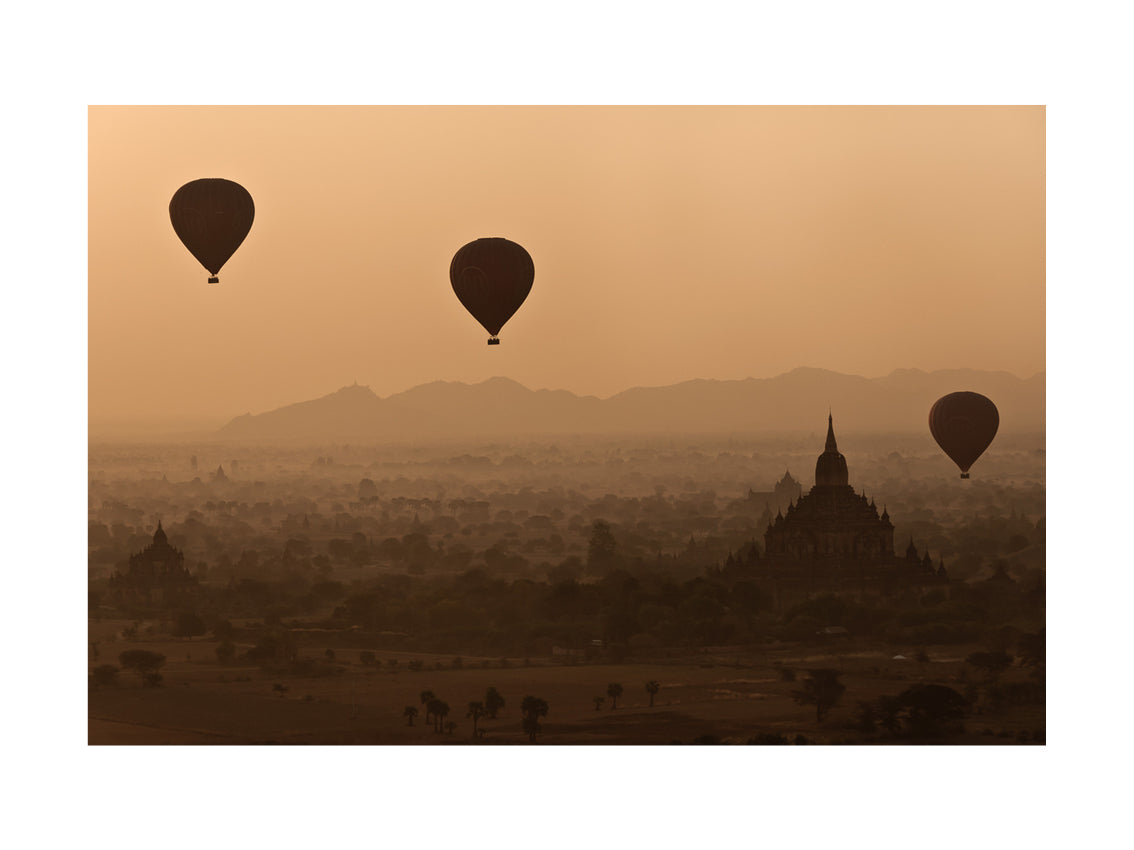 BASIC SIGNATURE #217