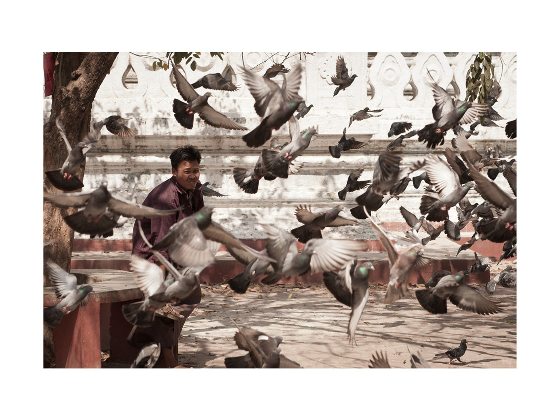 BASIC SIGNATURE #219