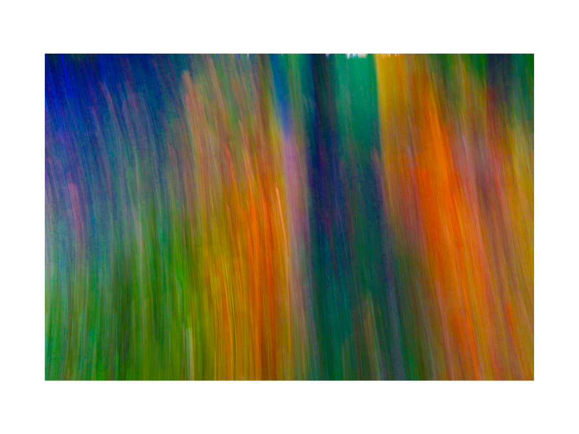 BASIC SIGNATURE #210