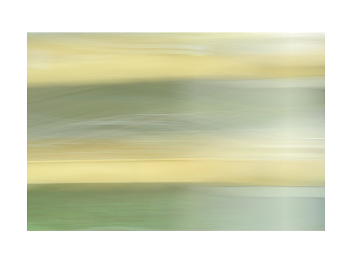 BASIC SIGNATURE #201