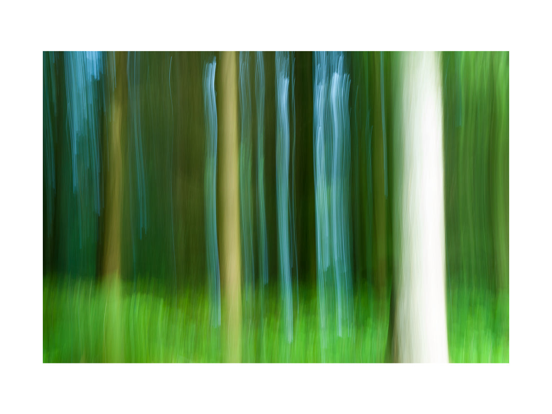 BASIC SIGNATURE #204