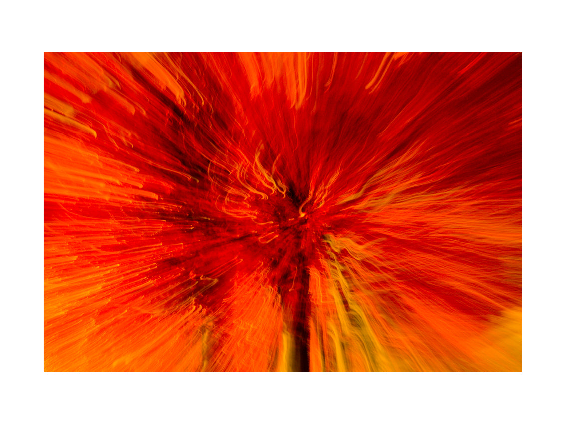 BASIC SIGNATURE #206