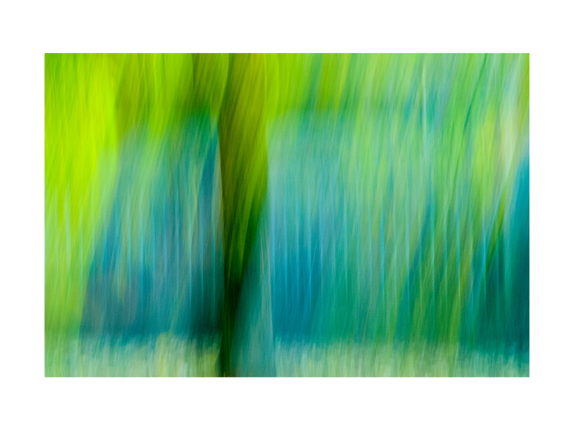 BASIC SIGNATURE #207