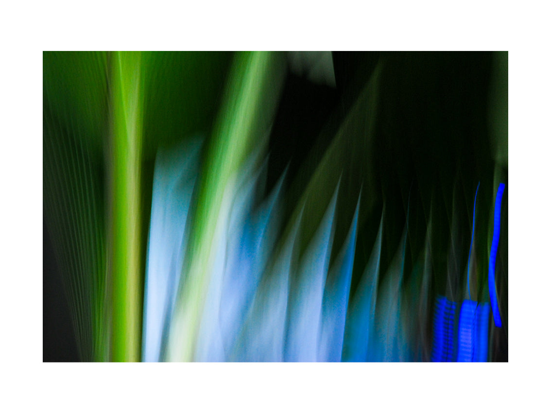 BASIC SIGNATURE #199