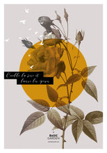 Charger l&#39;image dans la galerie, Basic Garden - Rose #4
