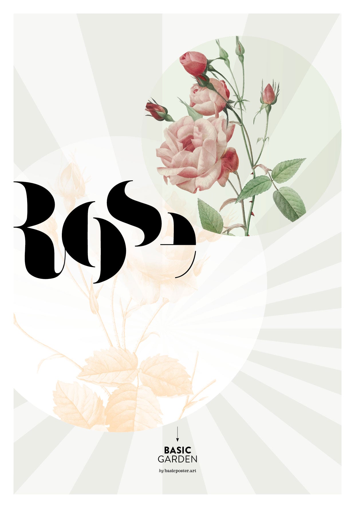 Basic Garden - Rose #1
