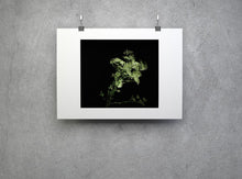 Charger l&#39;image dans la galerie, BASIC SIGNATURE #192
