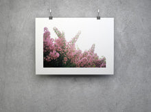 Charger l&#39;image dans la galerie, BASIC SIGNATURE #193
