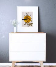 Charger l&#39;image dans la galerie, Basic Garden - Rose #4
