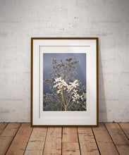 Charger l&#39;image dans la galerie, BASIC SIGNATURE #156
