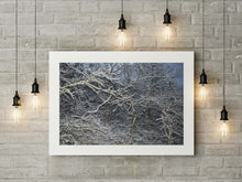 Charger l&#39;image dans la galerie, BASIC SIGNATURE #167
