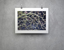 Charger l&#39;image dans la galerie, BASIC SIGNATURE #168
